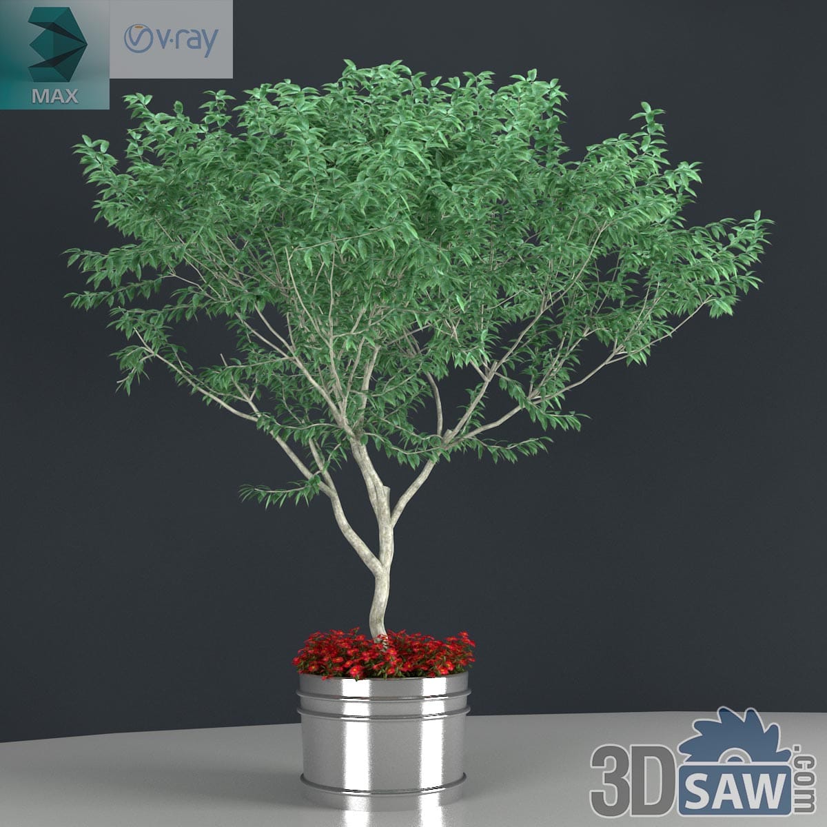 3ds Max potted ornamental tree with airy crown and red flowering underplanting in a metal planter