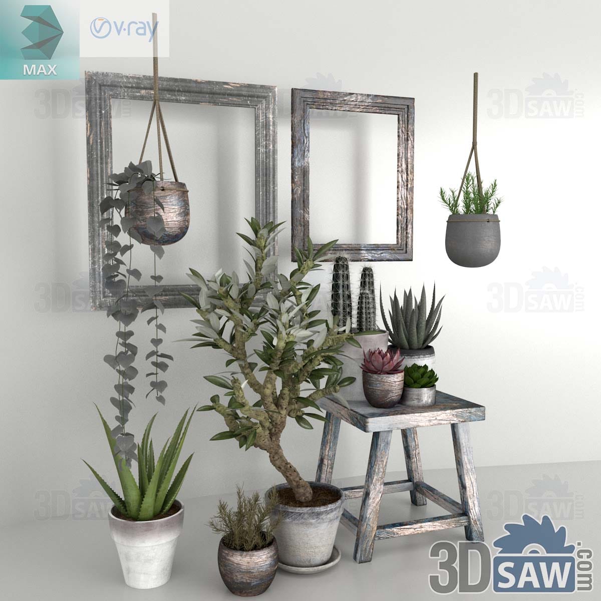 3ds Max rustic indoor plant set with potted aloe, olive tree, succulents and rope hanging planters