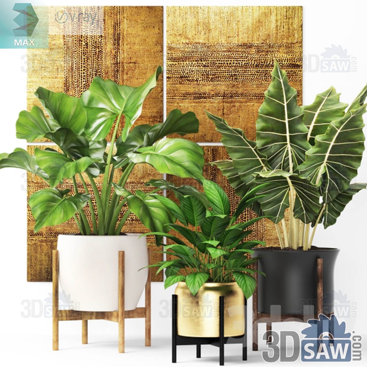 3ds Max three large tropical plants in white, brass and black planters on wooden mid-century stands