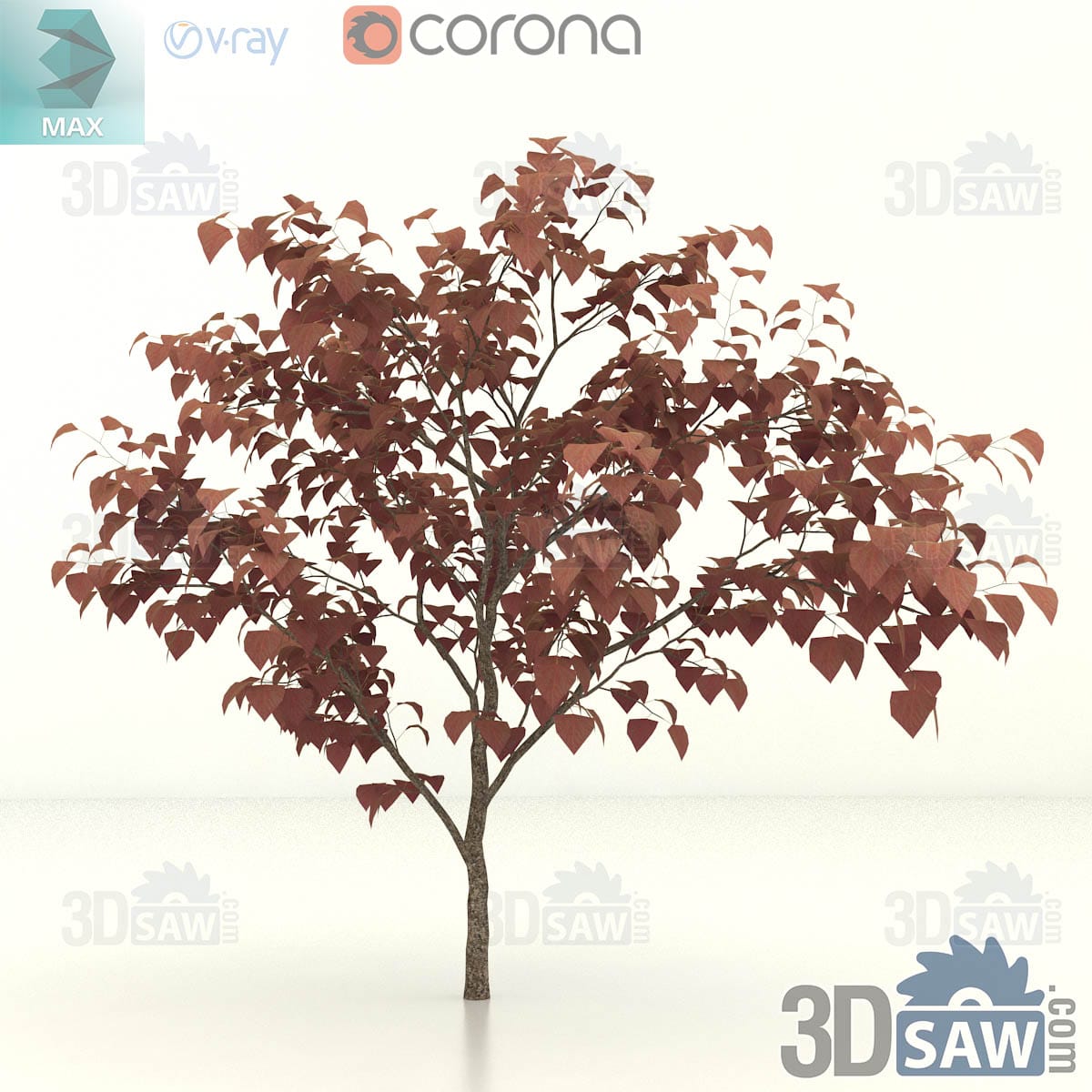 3ds Max multi-stem purple-leaf eastern redbud with several trunks and a loose burgundy canopy